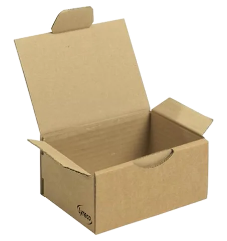 Wellåda LYRECO låsklaff 220x150x100mm
