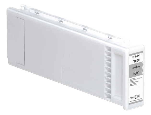 Bläckpatron EPSON C13T800000 L-grå