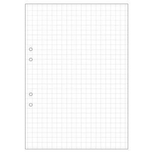 L?sblad A4 rutat 10x10mm h?lat 500/fp